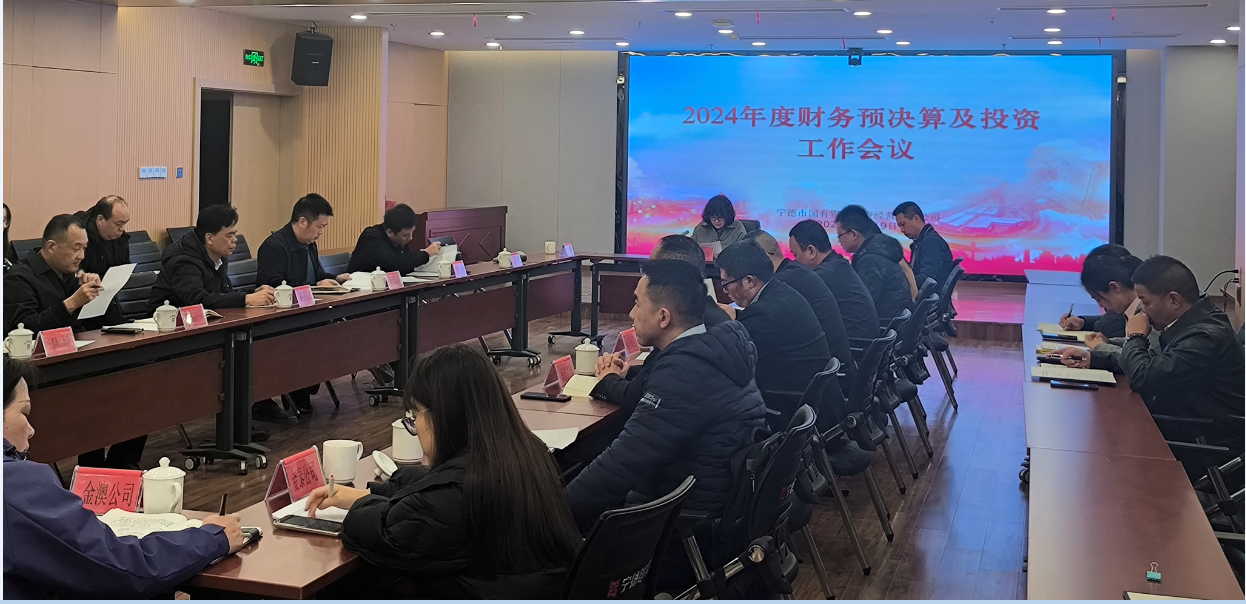 市问鼎国际官网公司召开2024年度财务预决算及投资工作会议