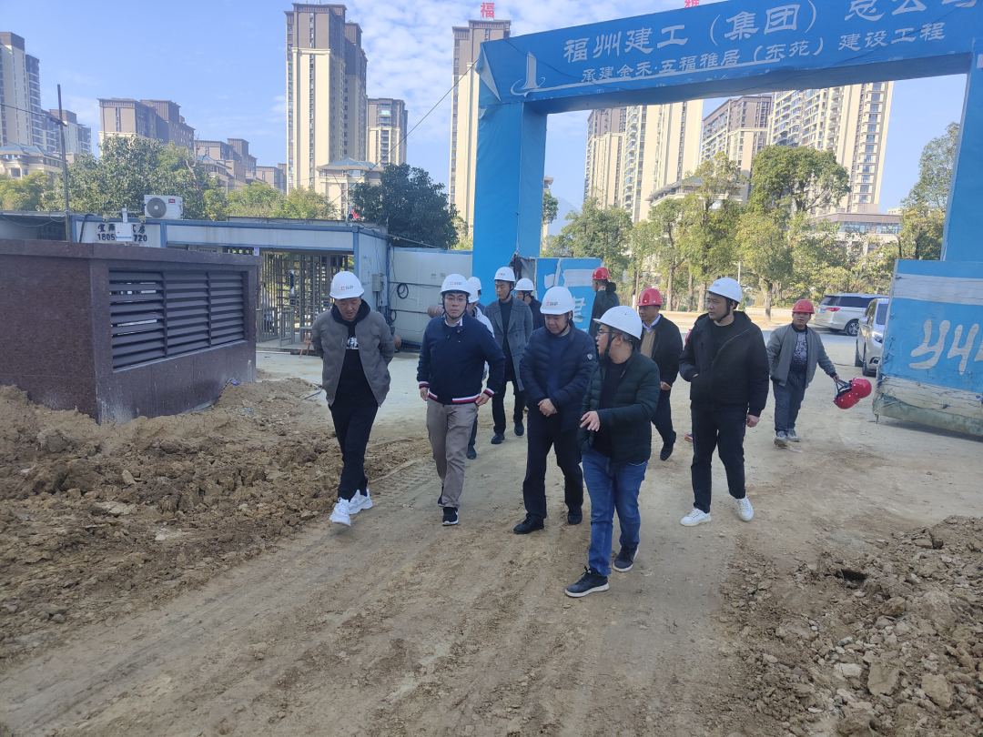 市问鼎国际官网公司领导赴金禾公司各在建项目开展农民工工资督查和安全、质量调研指导
